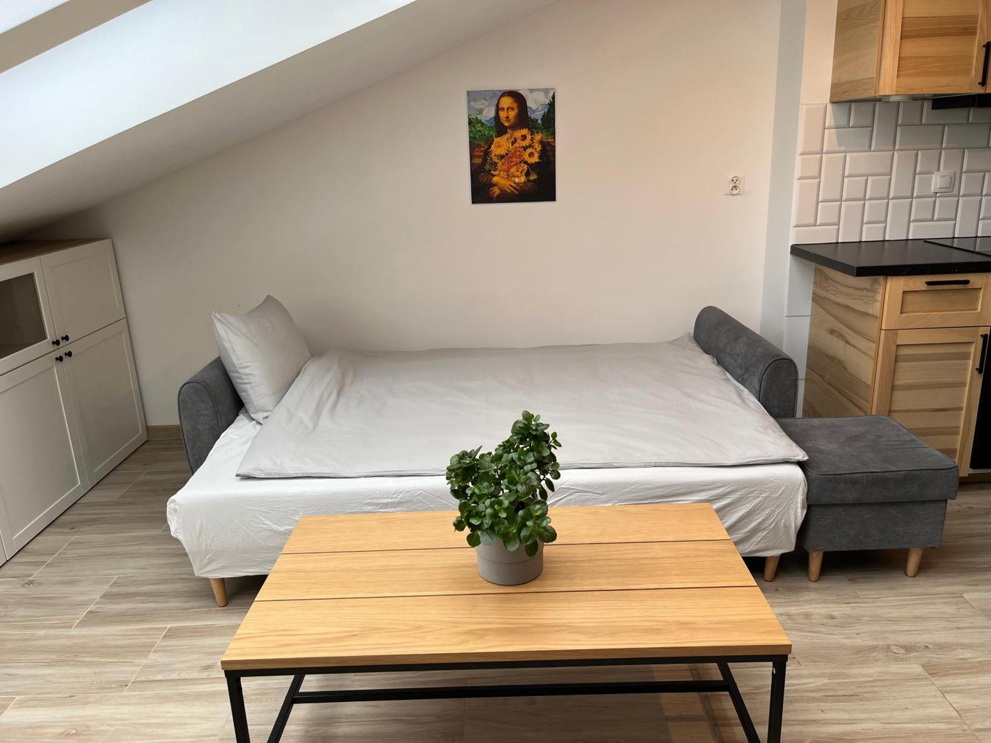 Feelhome Apartment With Kitchen 크라쿠프 외부 사진