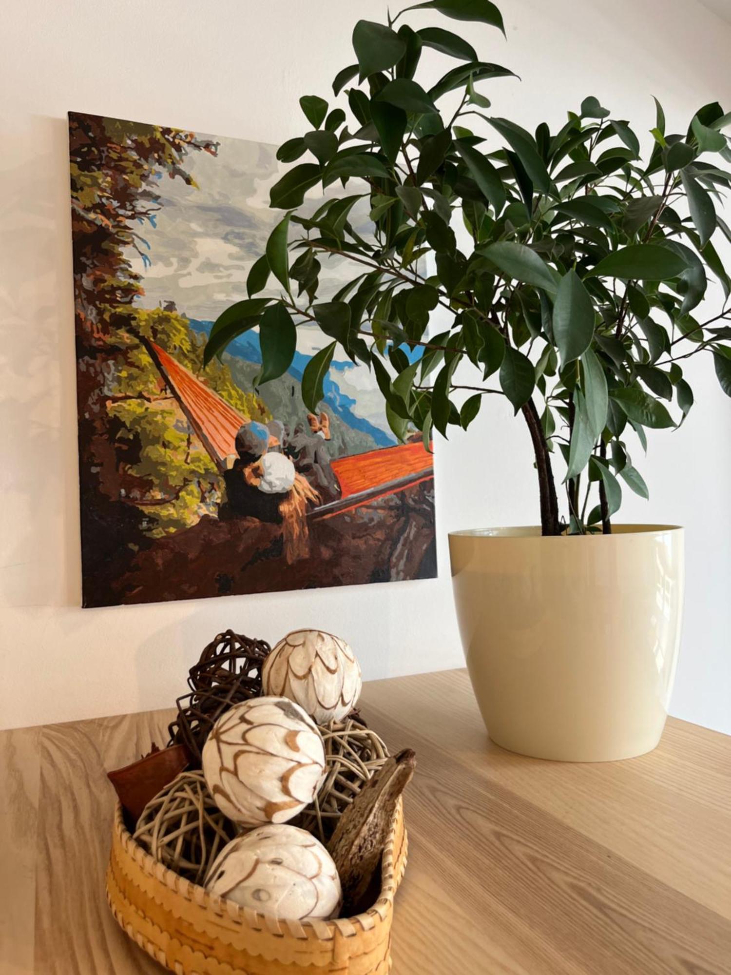 Feelhome Apartment With Kitchen 크라쿠프 외부 사진